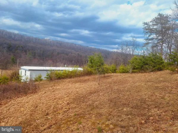 a view of back yard of the house