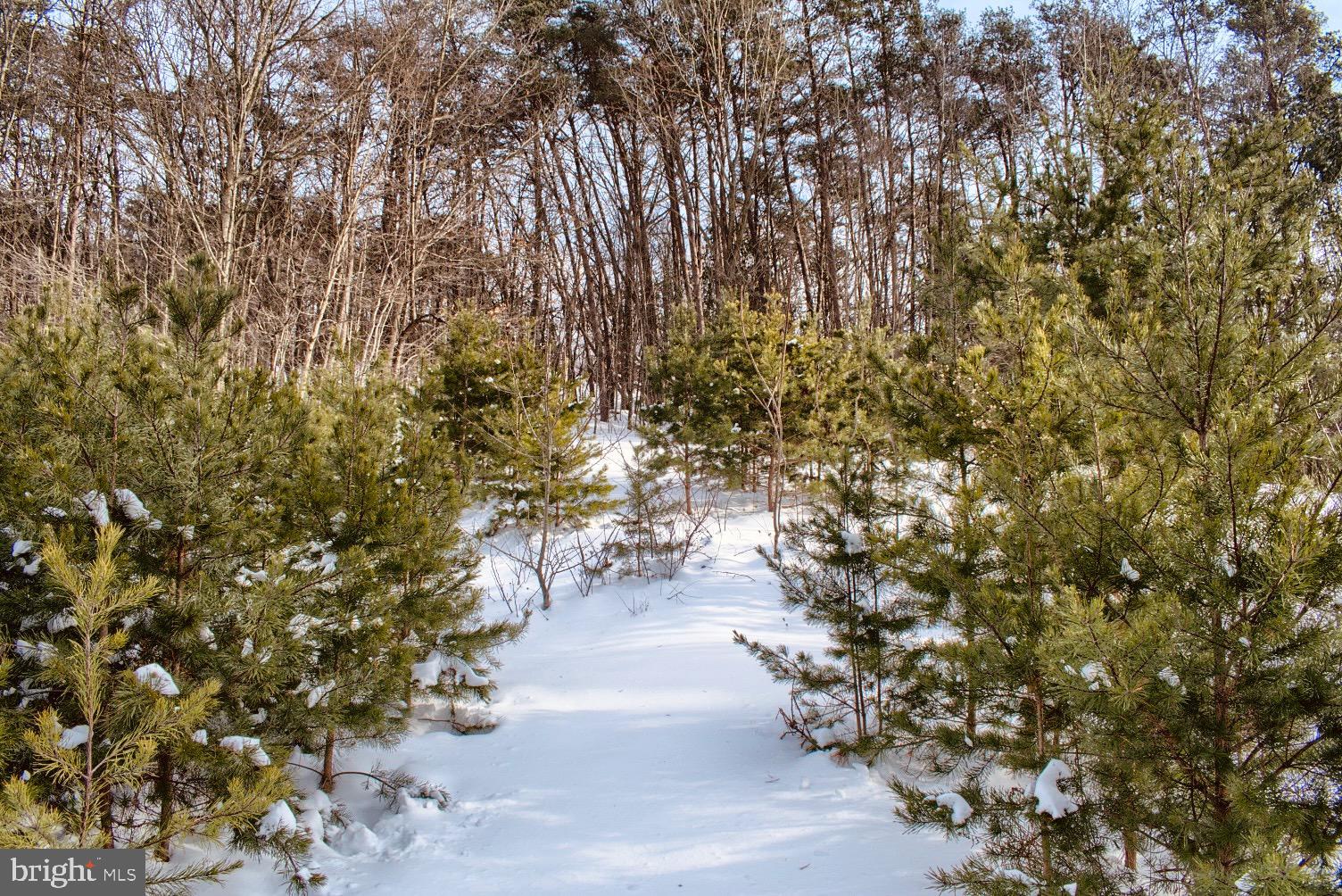 435 Neitz Valley Road Selinsgrove, PA 17870 - Photo 12 of 14