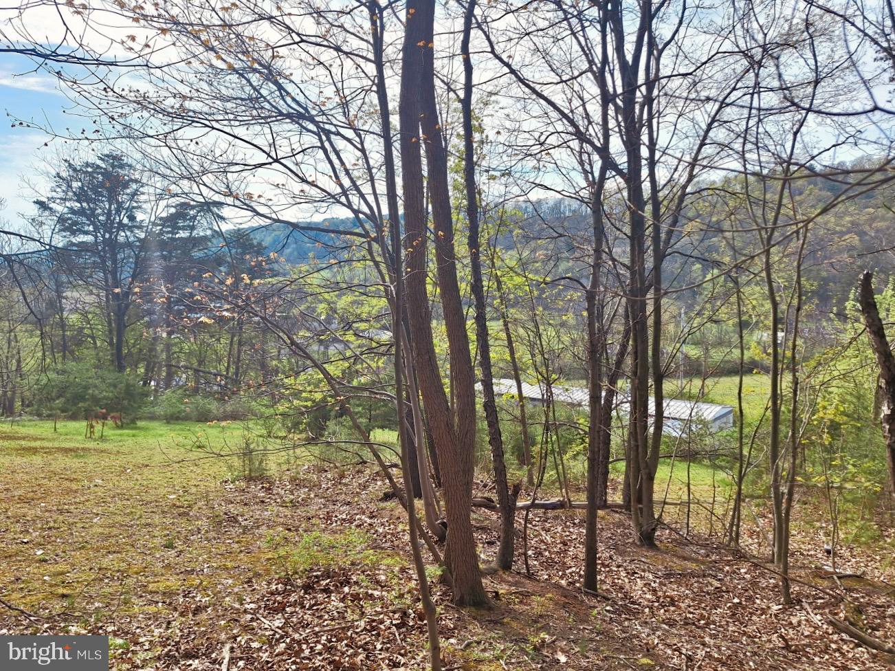 435 Neitz Valley Road Selinsgrove, PA 17870 - Photo 18 of 18