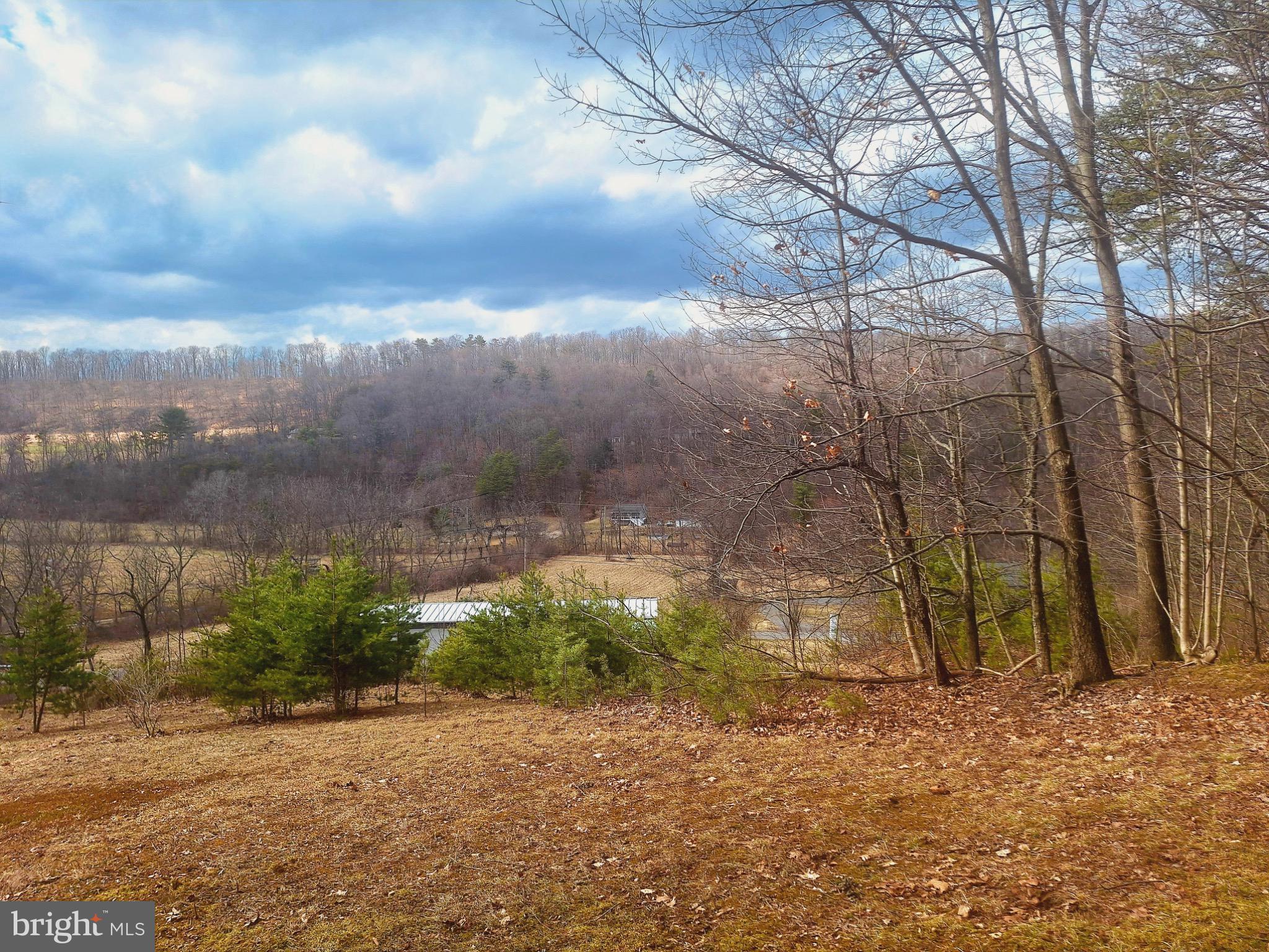 435 Neitz Valley Road Selinsgrove, PA 17870 - Photo 5 of 18 Serene landscape with rolling hills and trees.