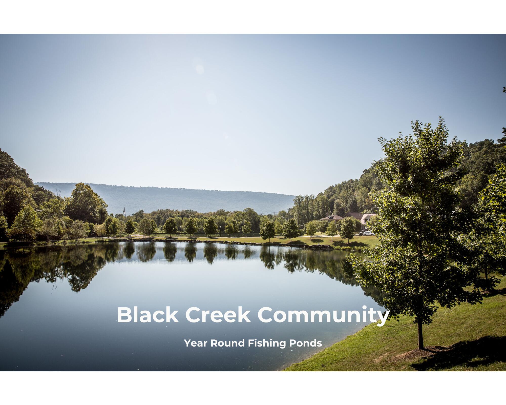 4706 Amethyst Road, Unit 915 Chattanooga, TN 37419 - Photo 15 of 24 Black Creek Community Ponds