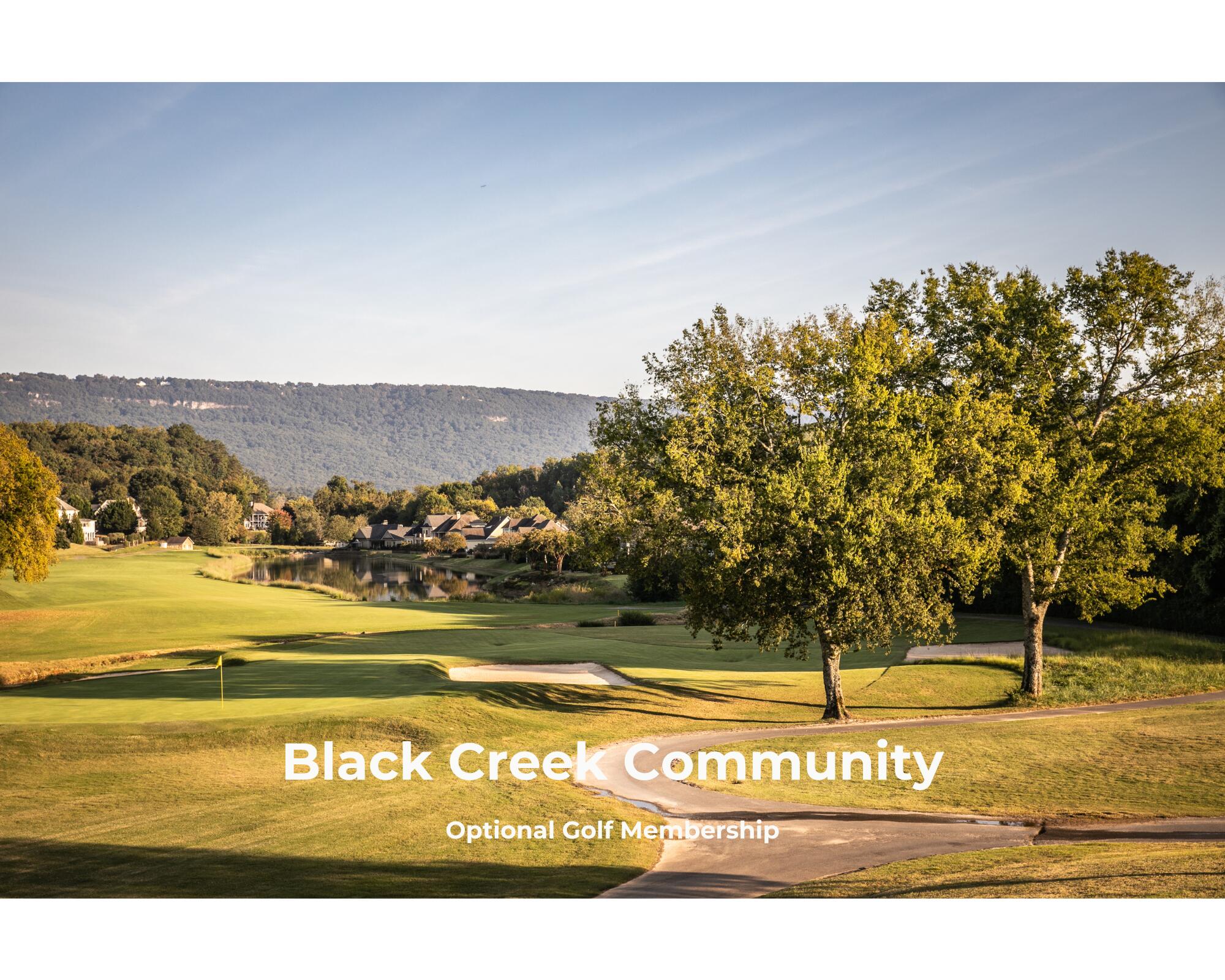 4706 Amethyst Road, Unit 915 Chattanooga, TN 37419 - Photo 19 of 24 Black Creek Golf