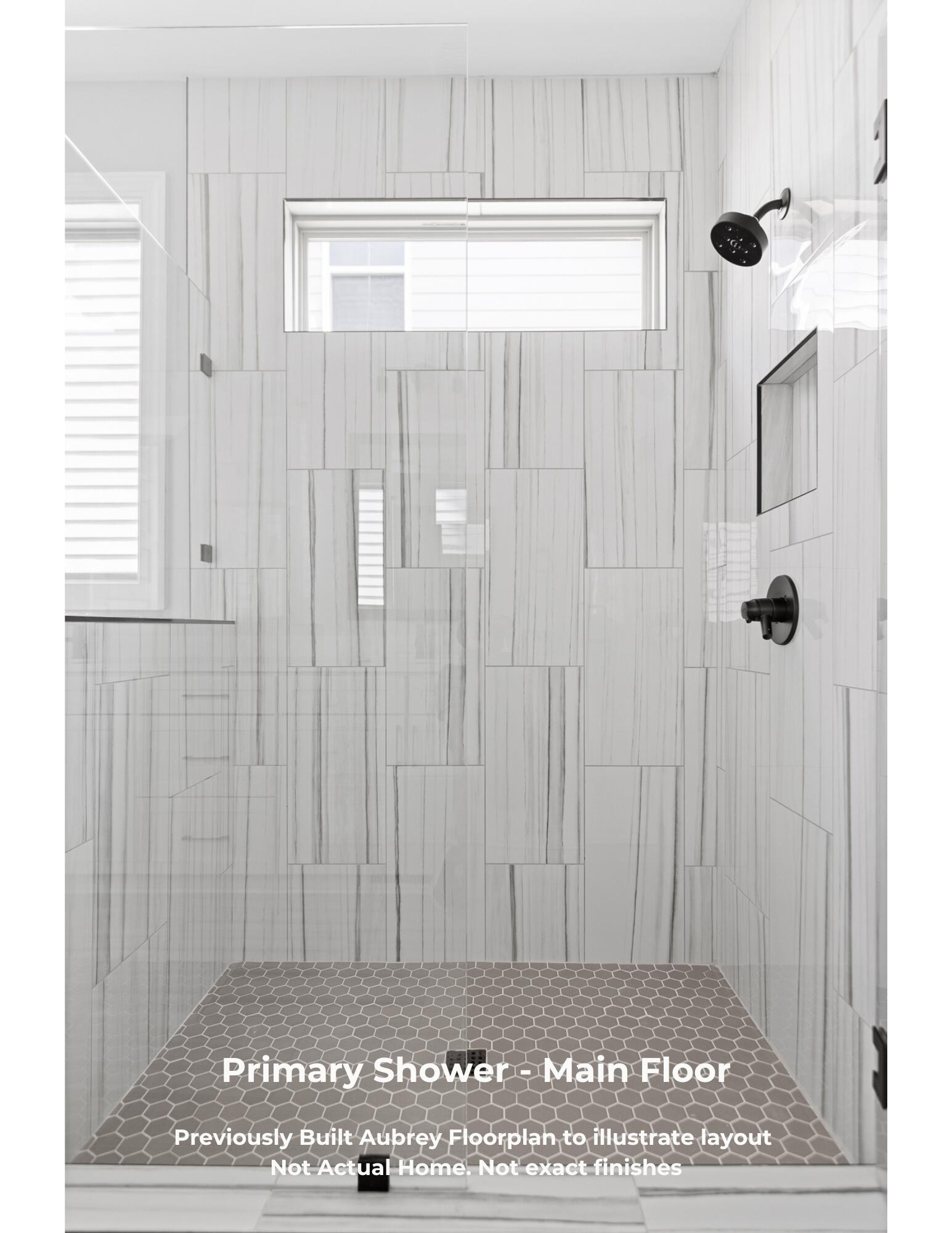 Primary Shower