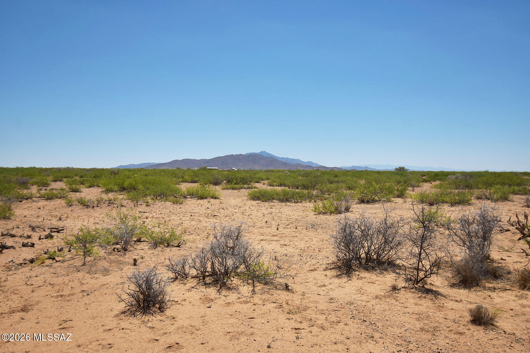5-acres North Round Up Road, Unit 431 Willcox, AZ 85643 - Photo 21 of 23