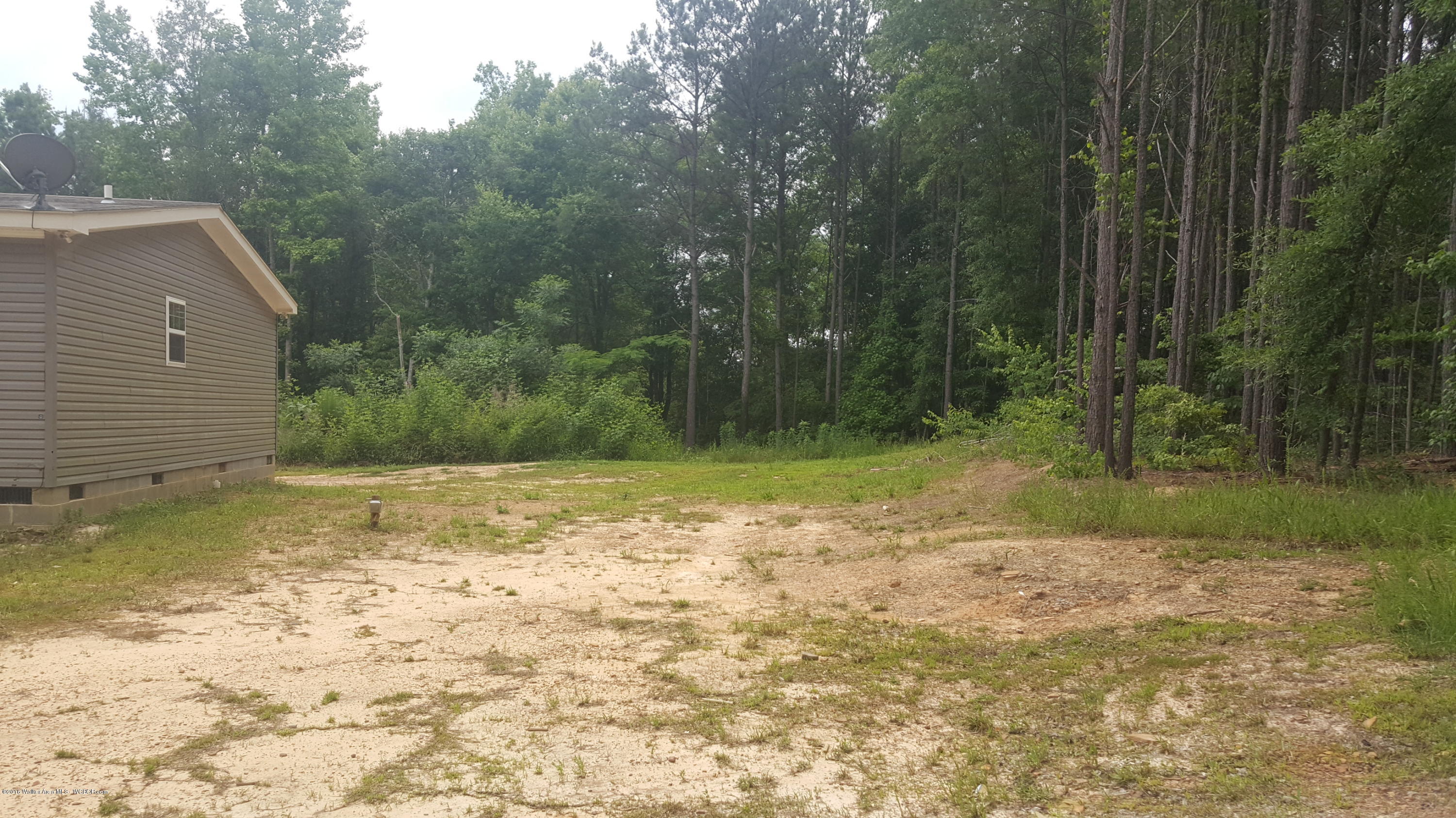 2160 Duncan Road Nauvoo, AL 35578 - Photo 4 of 50 Gallery Image 4