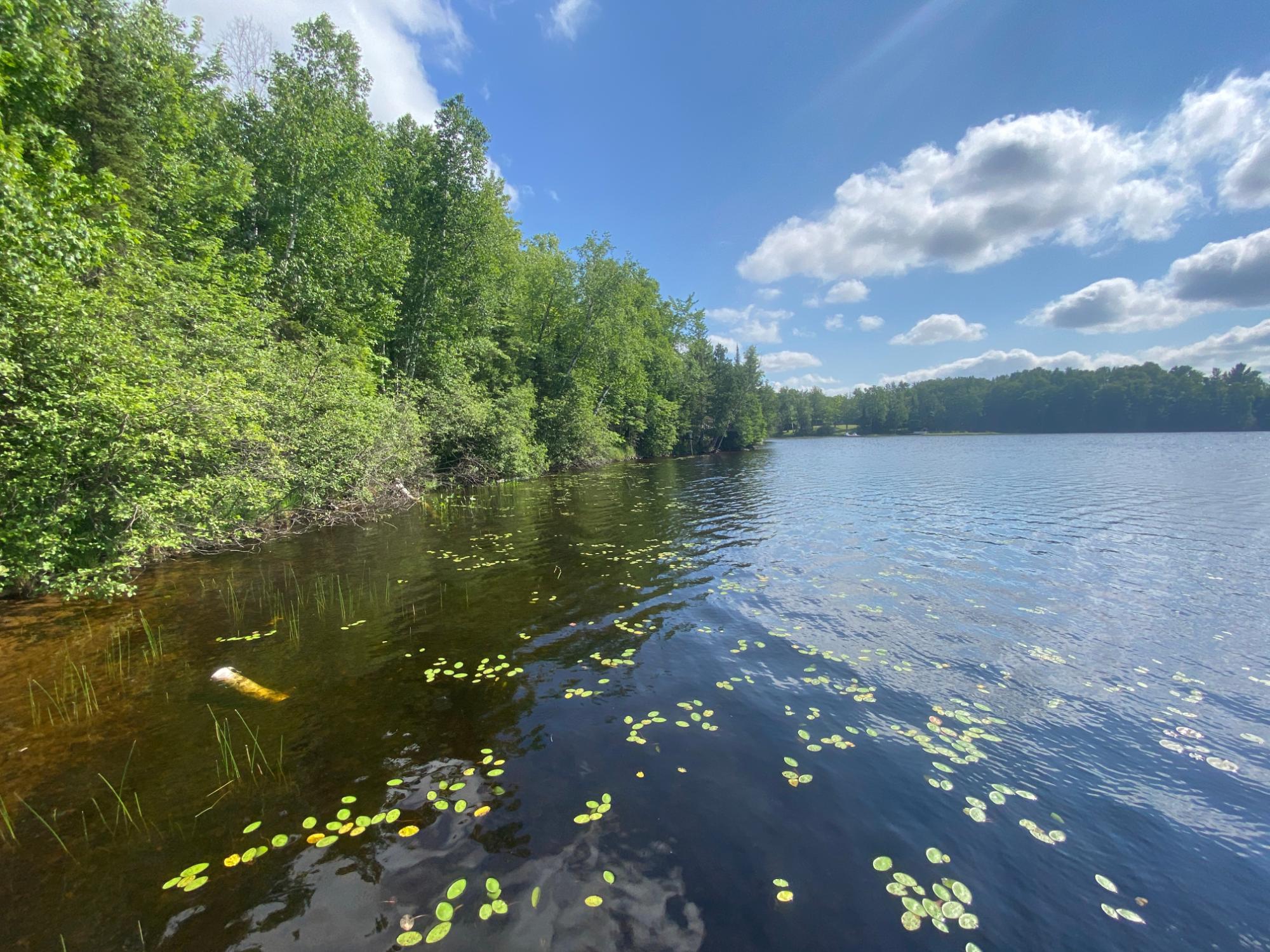 8195 East Bay Road Presque Isle, WI 54557 - Photo 33 of 35