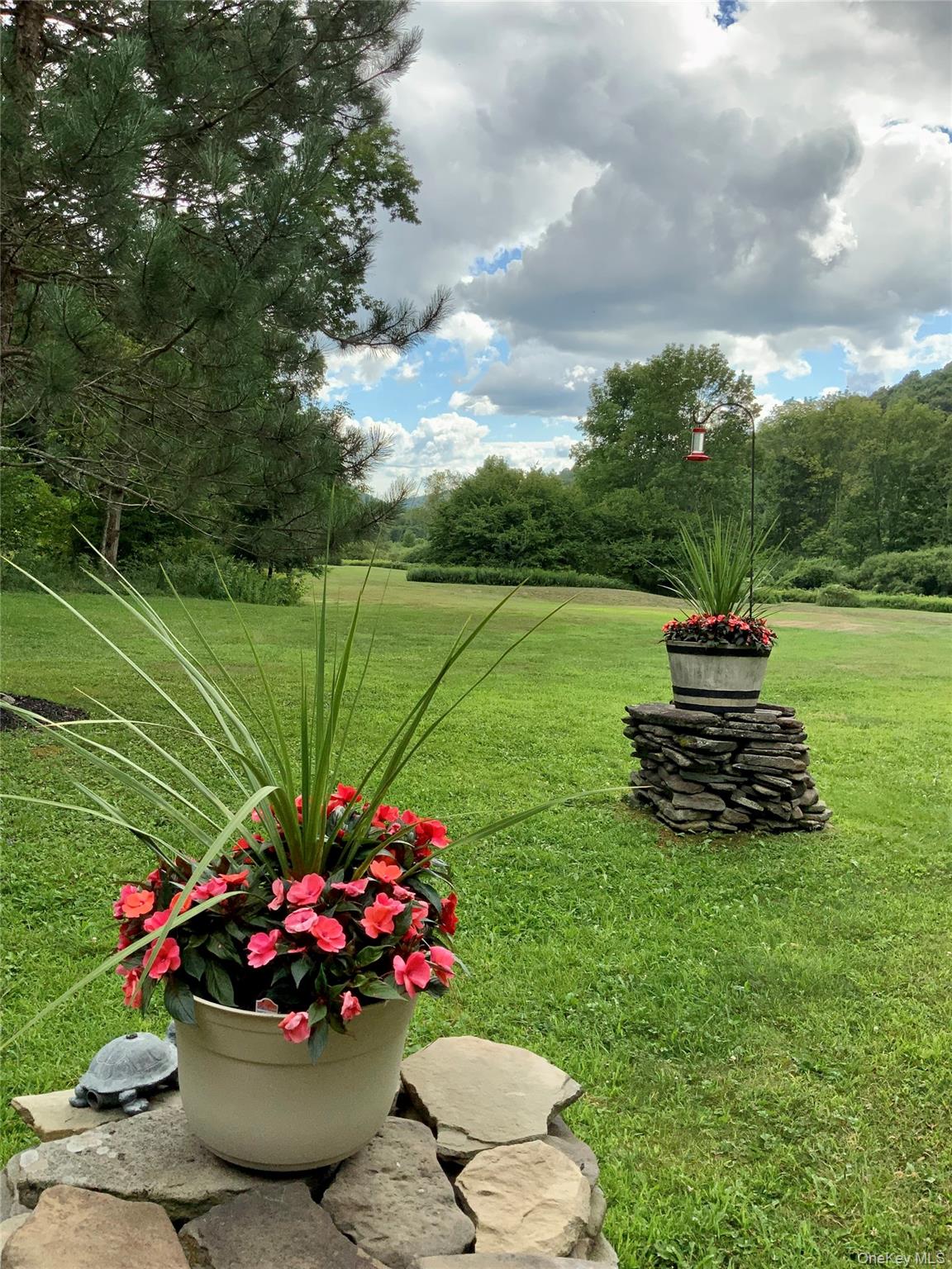66 Milton Smith Road Long Eddy, NY 12760 - Photo 16 of 25 Serene views across the property's beautifully maintained open lawn.