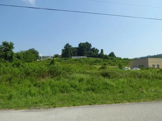 a view of a field of grass and trees