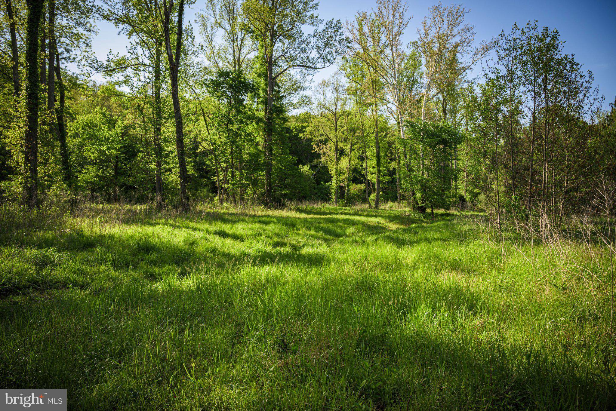0 Harts Mill Road Mineral, VA 23117 - Photo 21 of 69 a backyard of a house with lots of plants and trees