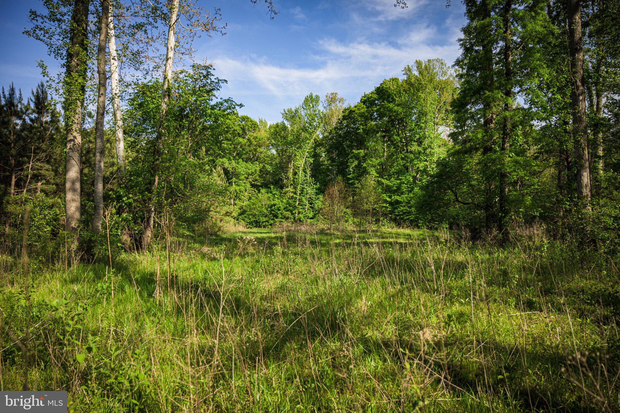 0 Harts Mill Road Mineral, VA 23117 - Photo 22 of 69 a view of a garden