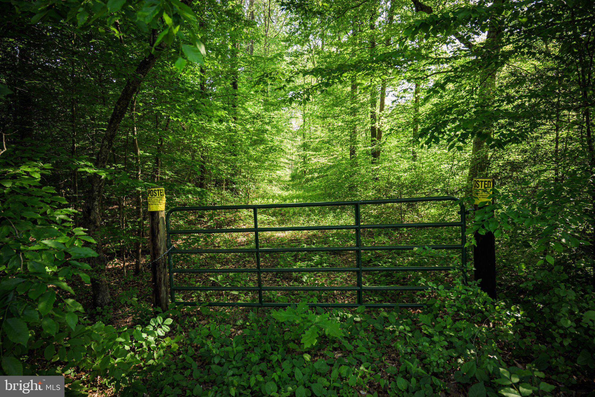 0 Harts Mill Road Mineral, VA 23117 - Photo 26 of 69 Gateway to Nature's Serenity