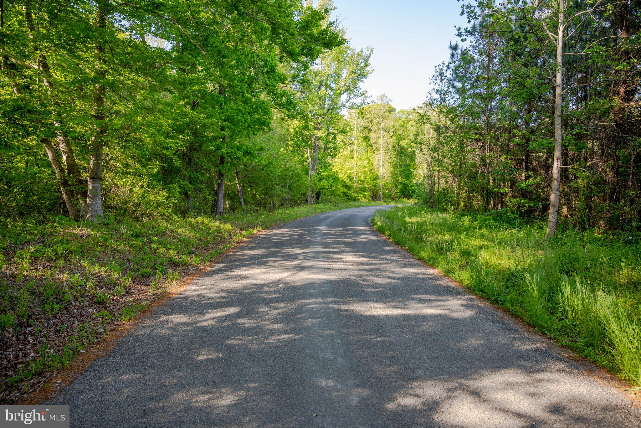 0 Harts Mill Road Mineral, VA 23117 - Photo 36 of 69 a view of a street with a trees