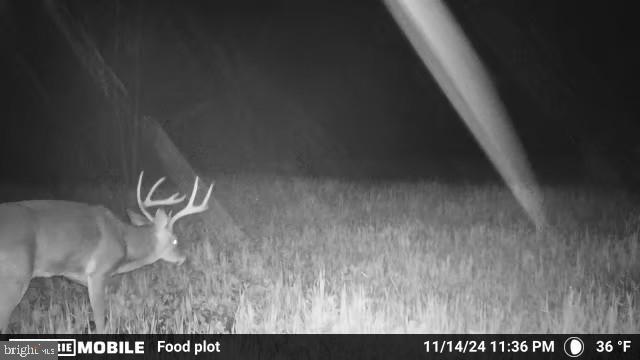 0 Harts Mill Road Mineral, VA 23117 - Photo 50 of 69 Nighttime visitor in the wild.