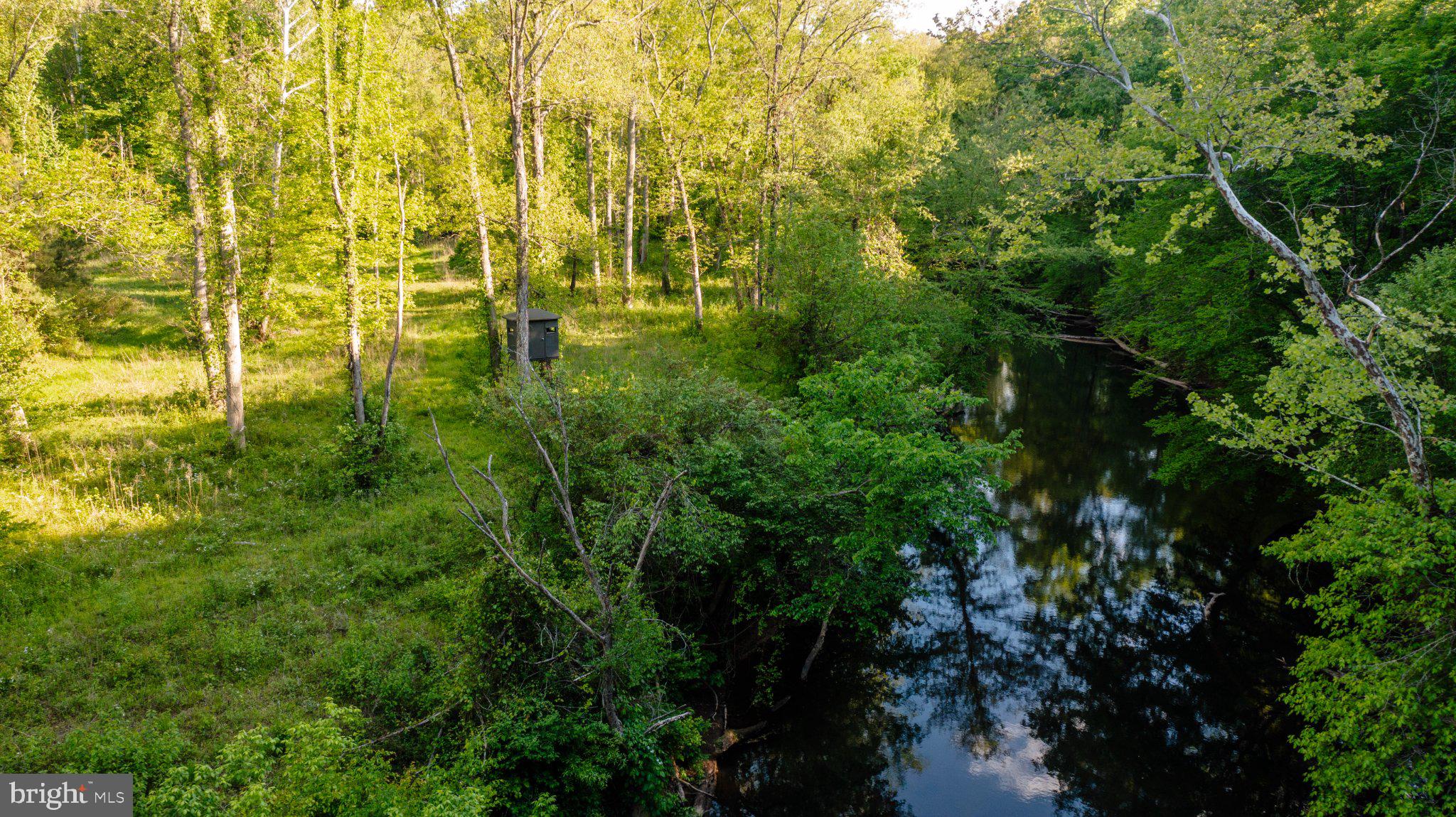 0 Harts Mill Road Mineral, VA 23117 - Photo 6 of 69 Serene riverside retreat in lush greenery.