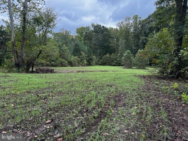 0 Harts Mill Road Mineral, VA 23117 - Photo 62 of 69 a view of outdoor space and yard