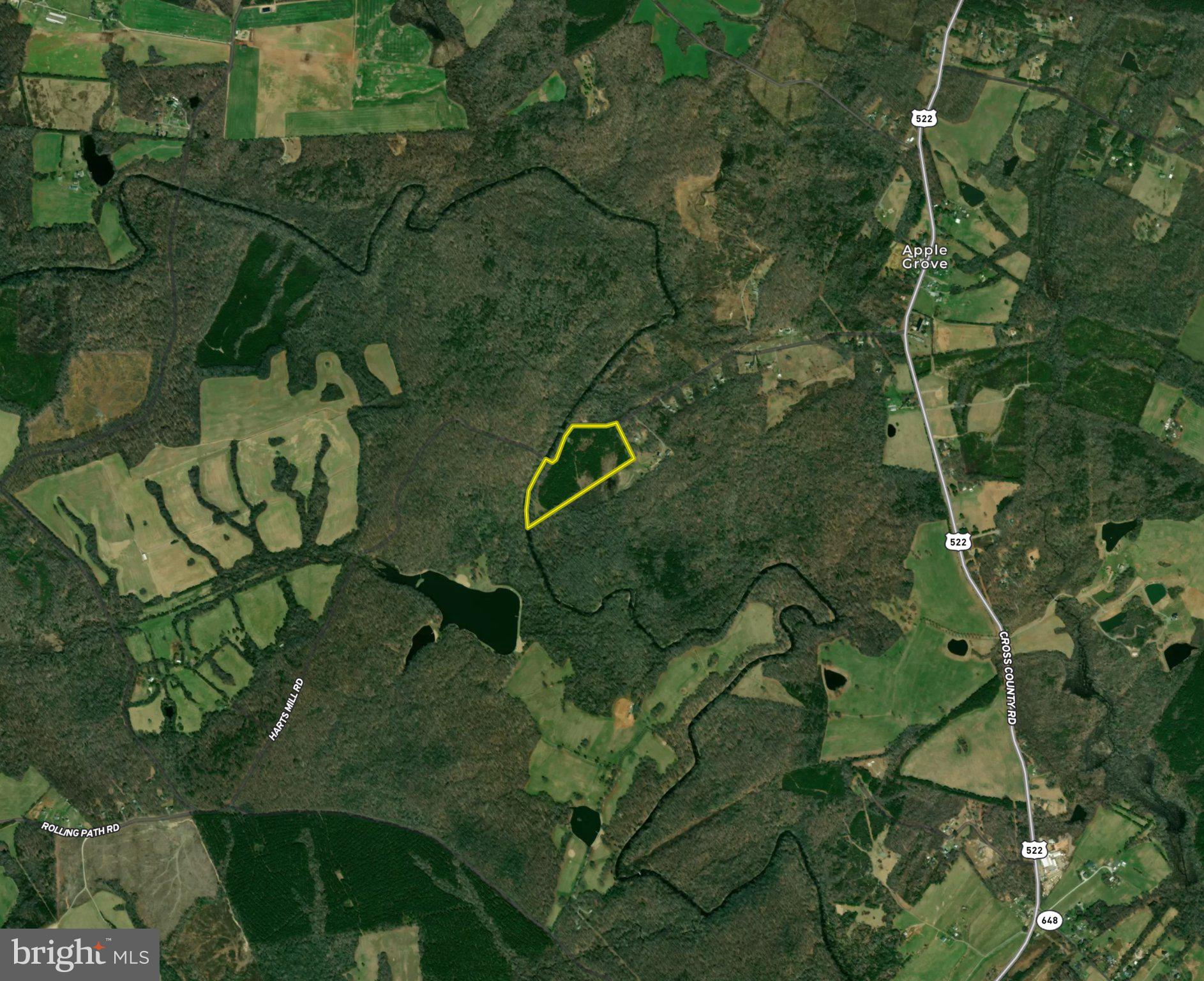 0 Harts Mill Road Mineral, VA 23117 - Photo 69 of 69 Expansive wooded land awaits discovery.
