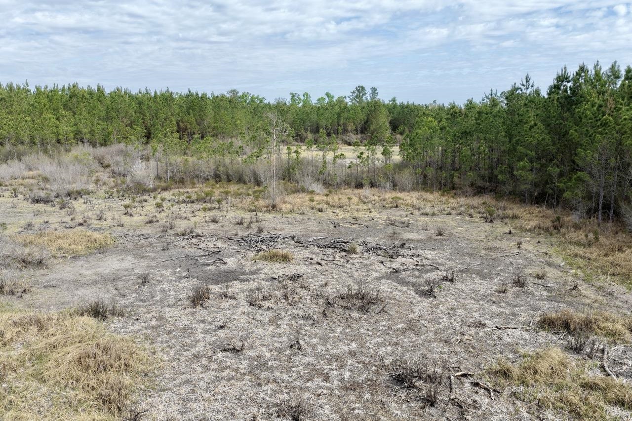 Vacant Southwest Vacant Sw Captain Brown Road Madison, FL 32340 - Photo 17 of 37