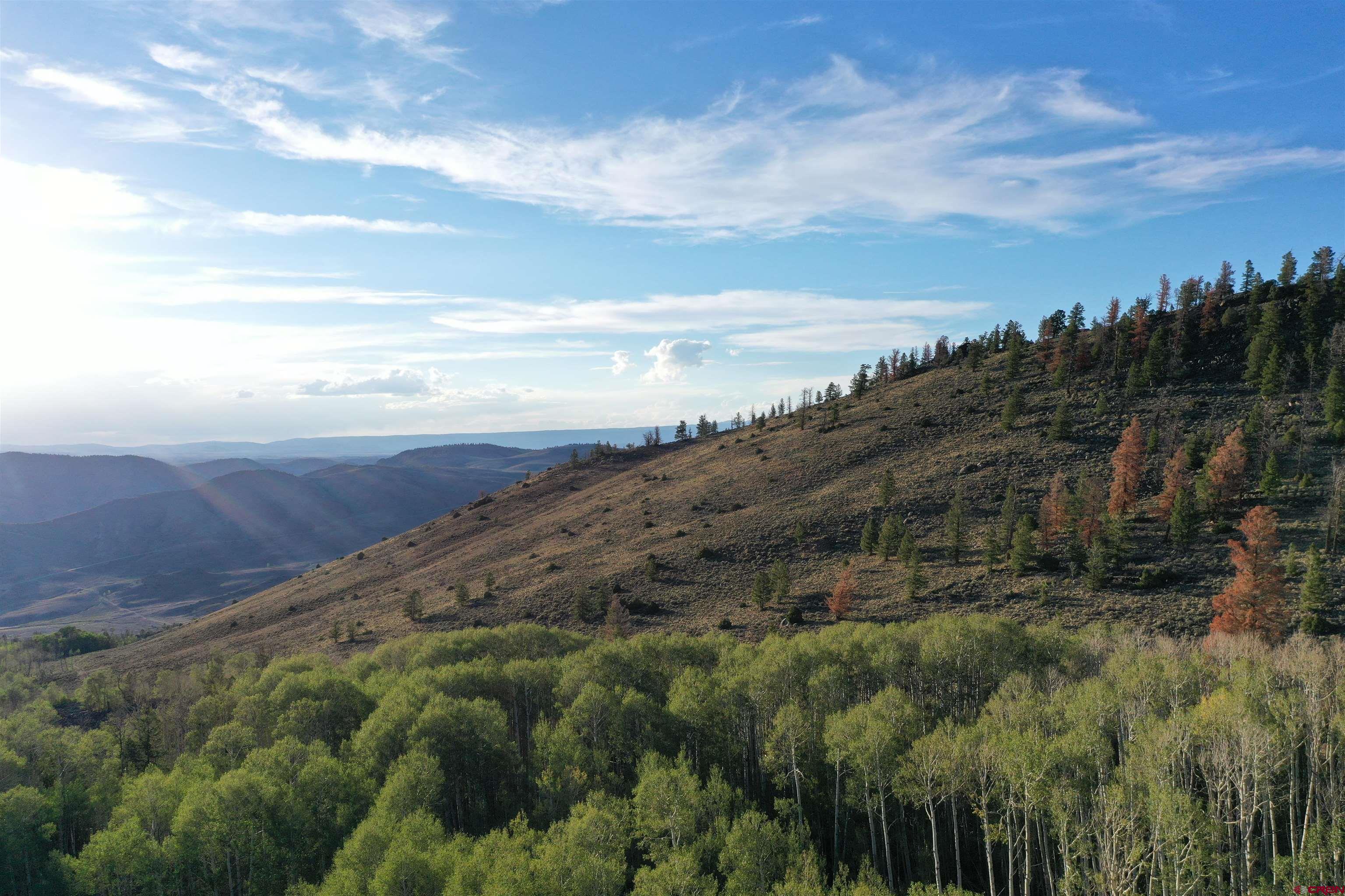 149 Rd Powderhorn Co 81230 Road Powderhorn, CO 81243 - Photo 9 of 40 Gallery Image 9