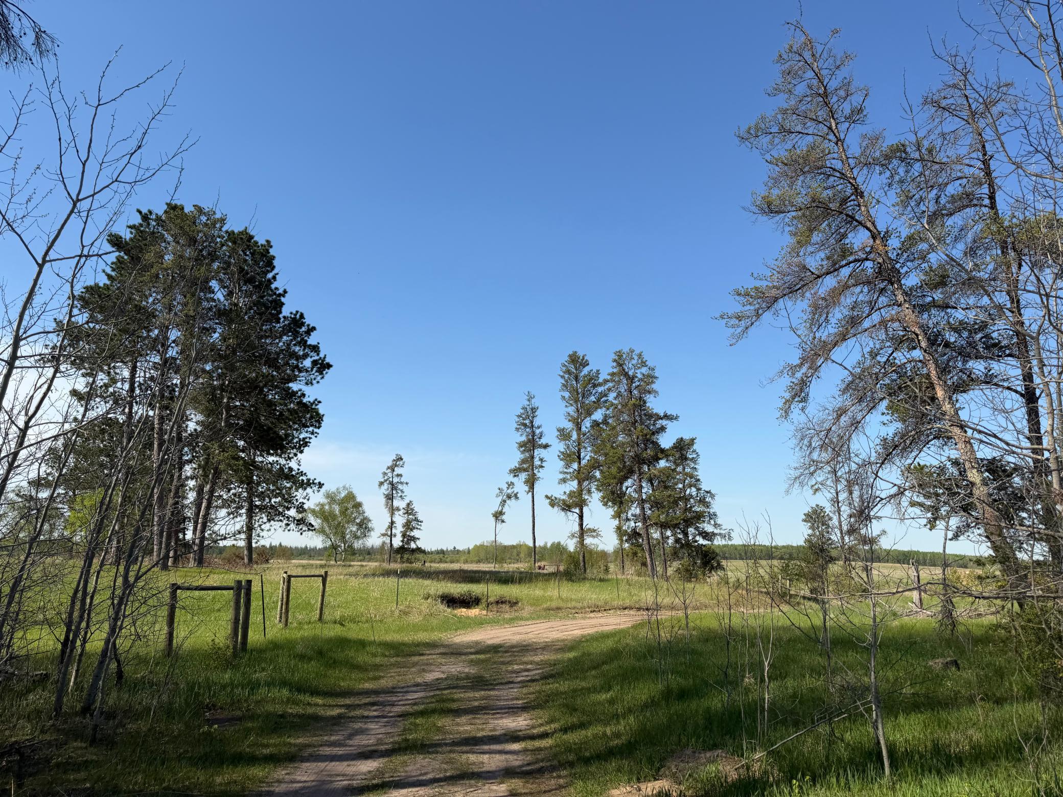 14 Sebeka Mn 56477 Sebeka, MN 56477 - Photo 28 of 79