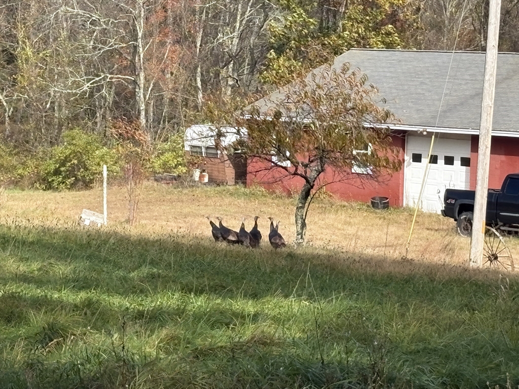 194 Old Greenwich Plain Road Hardwick, MA 01082 - Photo 4 of 13 a view of a house with a yard