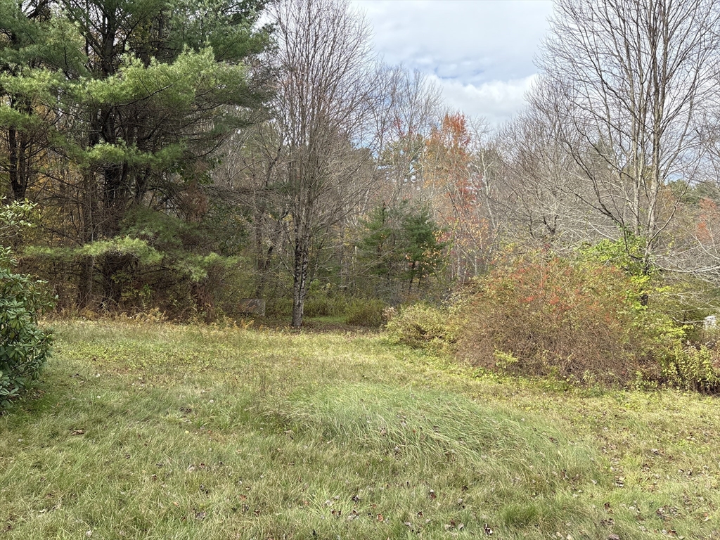 194 Old Greenwich Plain Road Hardwick, MA 01082 - Photo 5 of 13 a view of a yard