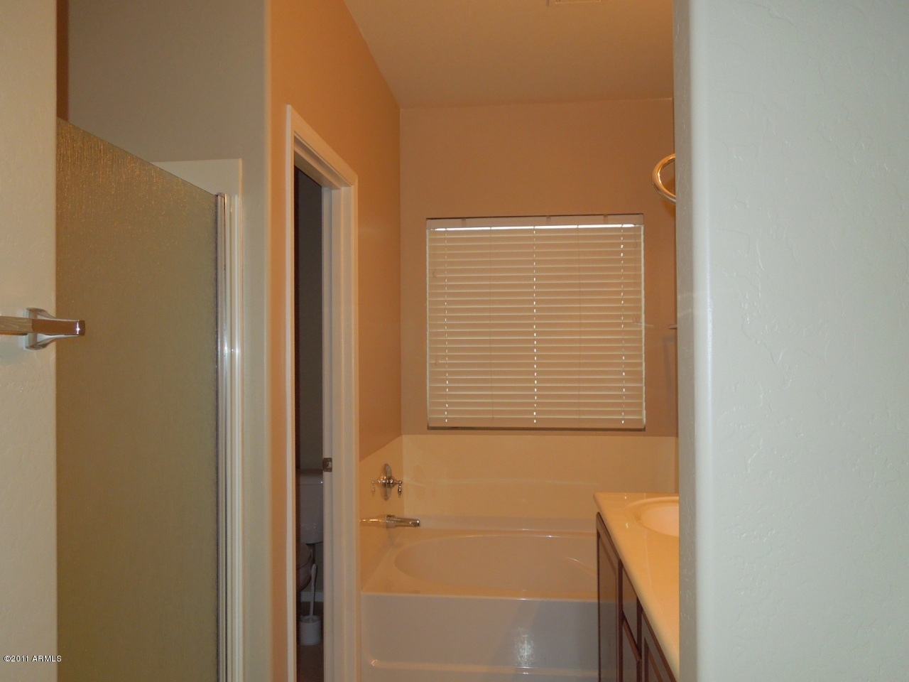 7026 West Beverly Road Laveen, AZ 85339 - Photo 16 of 24 16_MasterBathSeparateTubShower