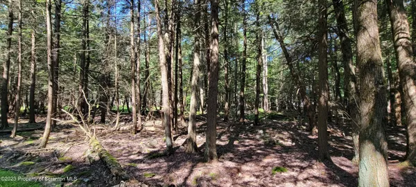 a view of outdoor space and a yard