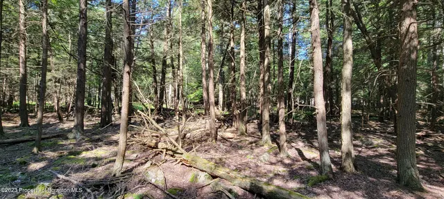 a view of outdoor space and a yard