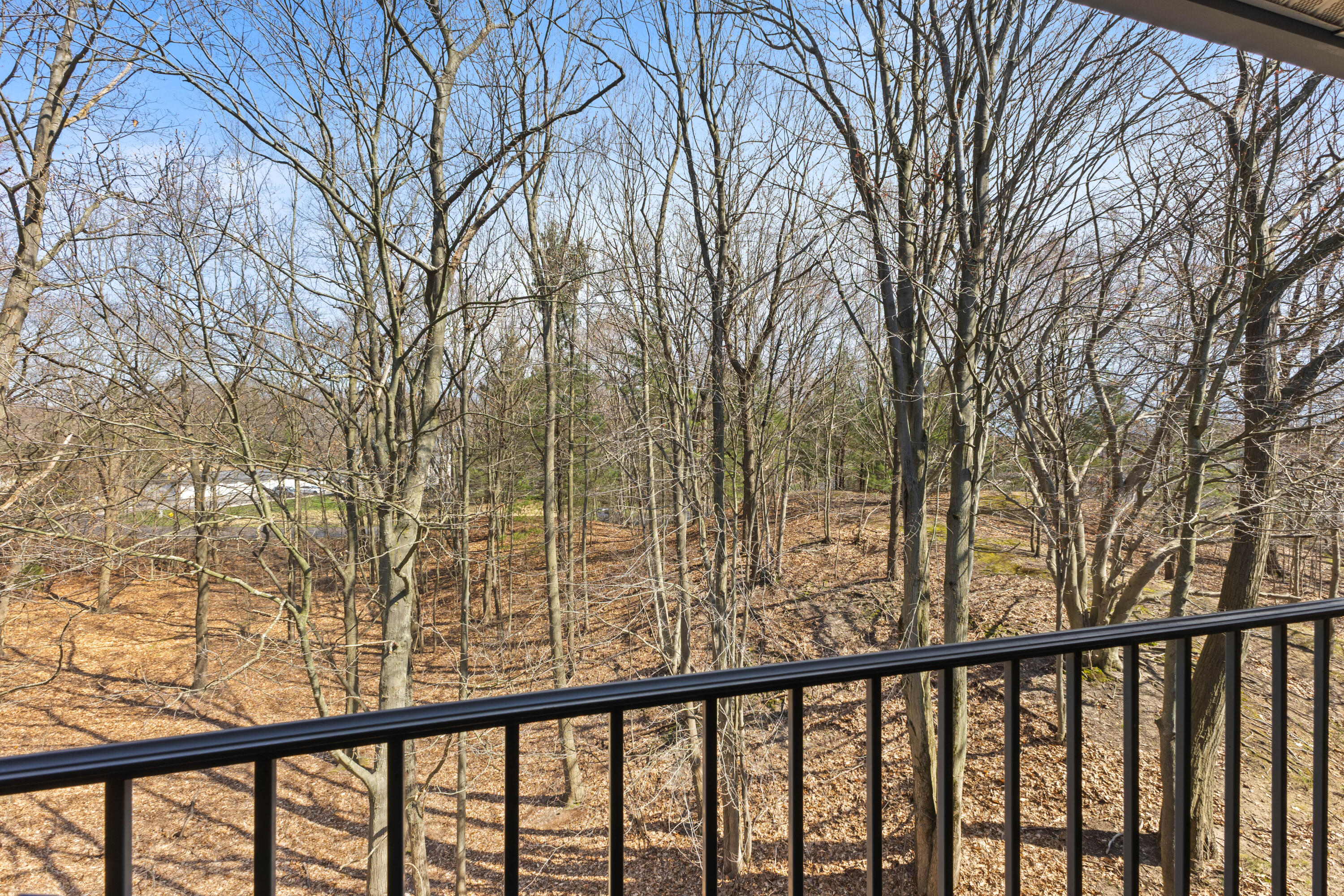 18372 North Ridge Court, Unit 6 Spring Lake, MI 49456 - Photo 19 of 27 1M7A7594