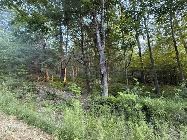 110 Calderwood Road Washington, ME 04574 - Photo 5 of 7 dc9e214a-1b07-4199-afd7-867179b8f363