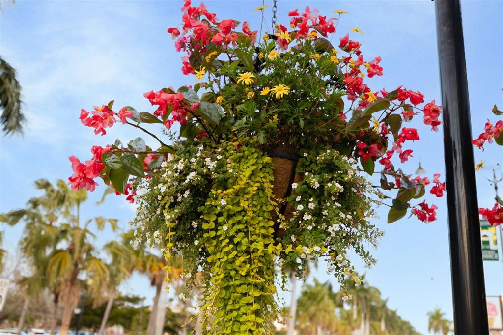 1016 Scherer Way Osprey, FL 34229 - Photo 73 of 76