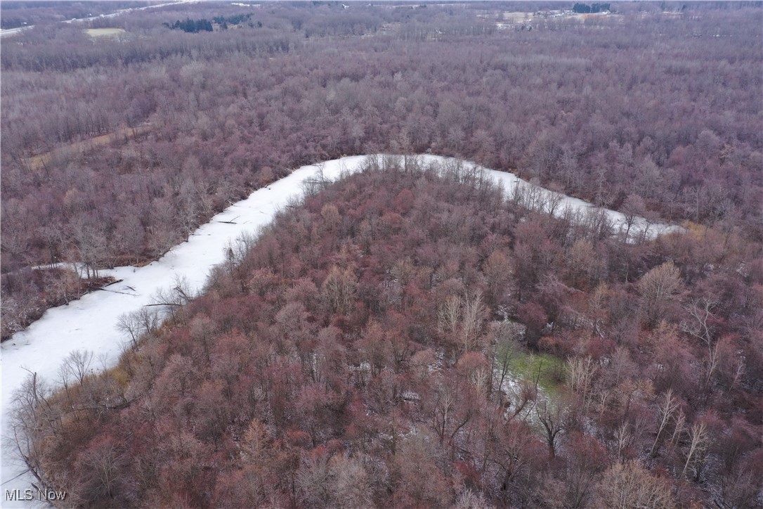 Braceville Robinson Rd Road Newton Falls, OH 44444 - Photo 47 of 50 Gallery Image 47