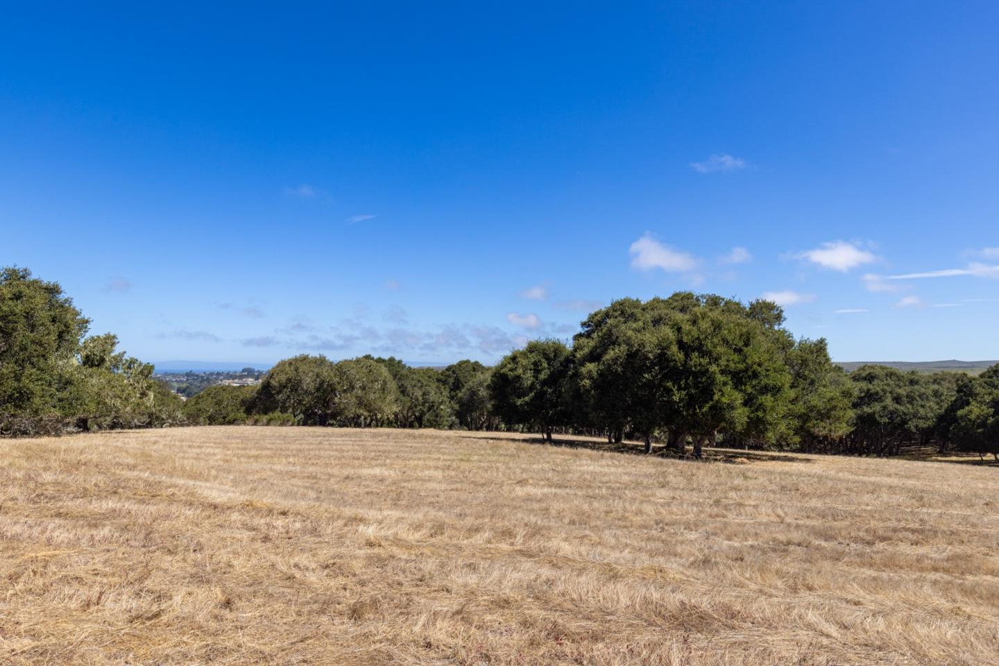 8170 Manjares Road Monterey, CA 93940 - Photo 2 of 10 Gallery Image 2