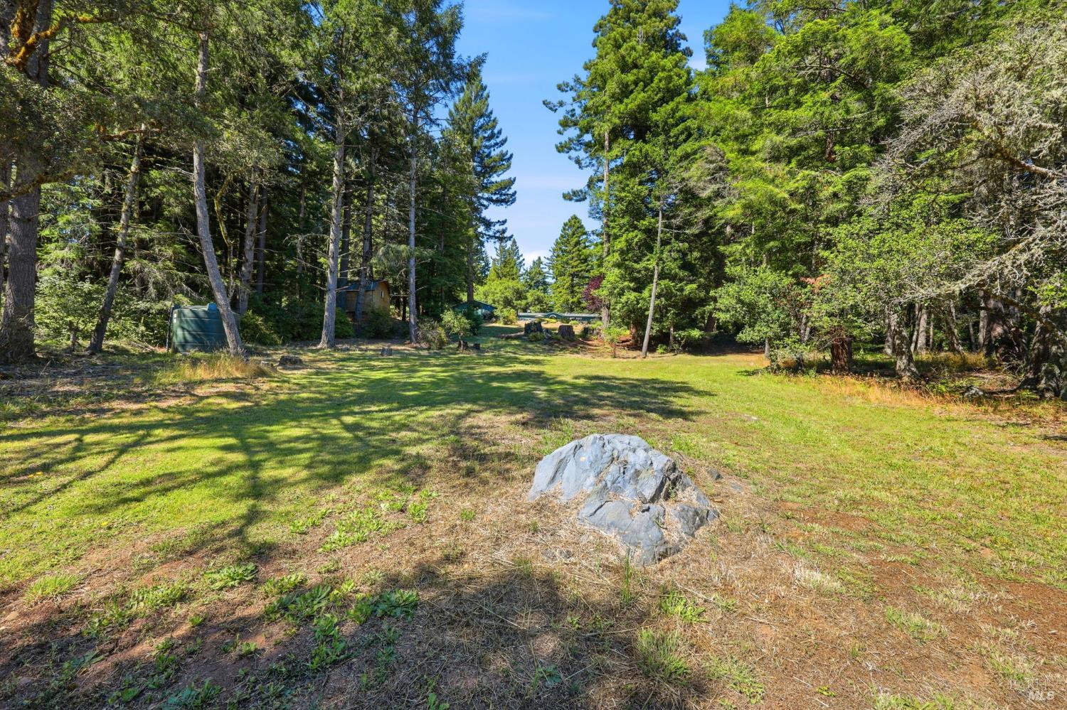 17375 Willow Creek Road Occidental, CA 95465 - Photo 77 of 94