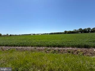 Lot #17 Tower Road Camden Wyoming, DE 19934 - Photo 15 of 16 a view of a lake with a big yard