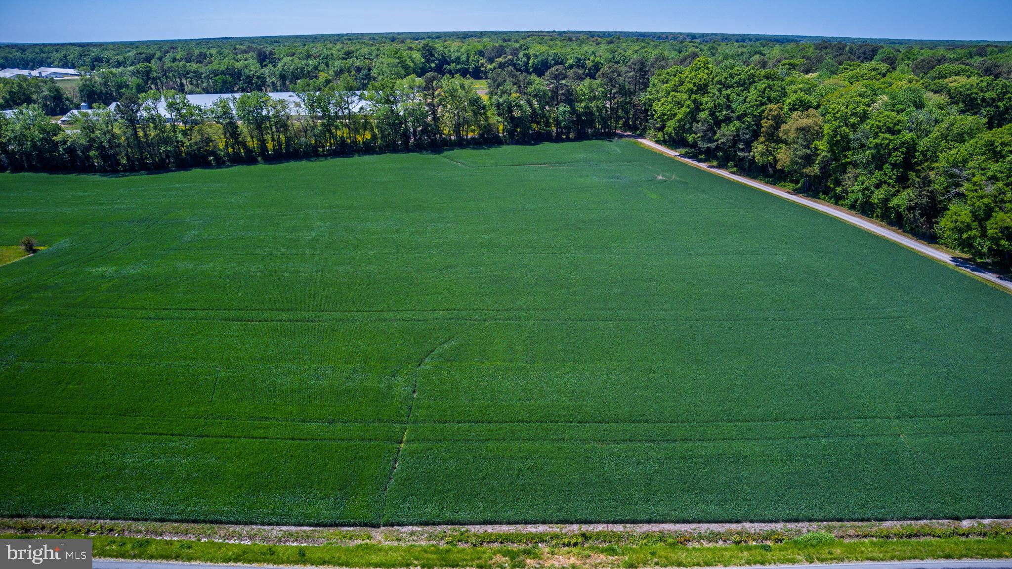 Lot #17 Tower Road Camden Wyoming, DE 19934 - Photo 6 of 16