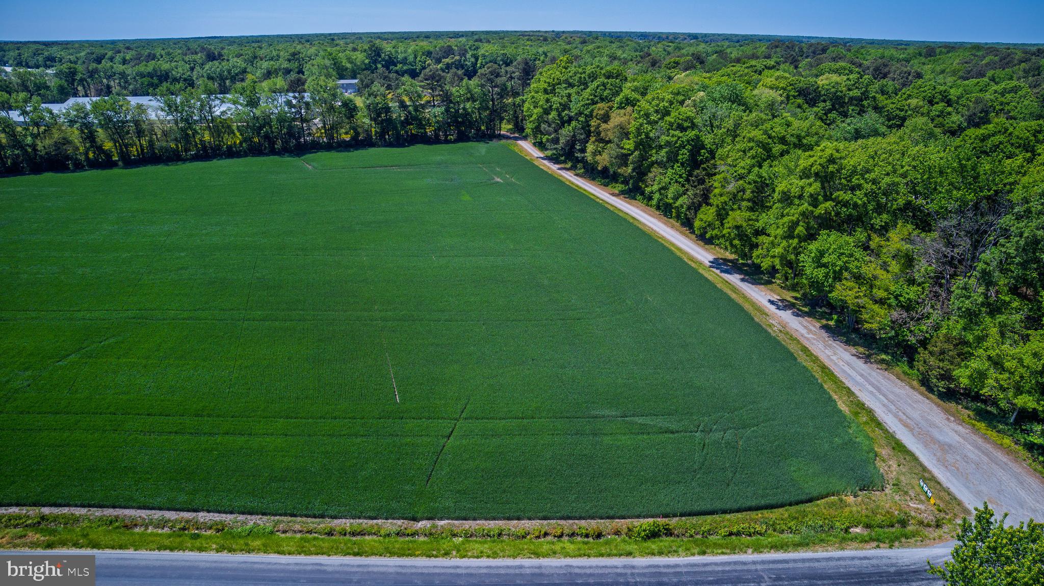 Lot #17 Tower Road Camden Wyoming, DE 19934 - Photo 9 of 16