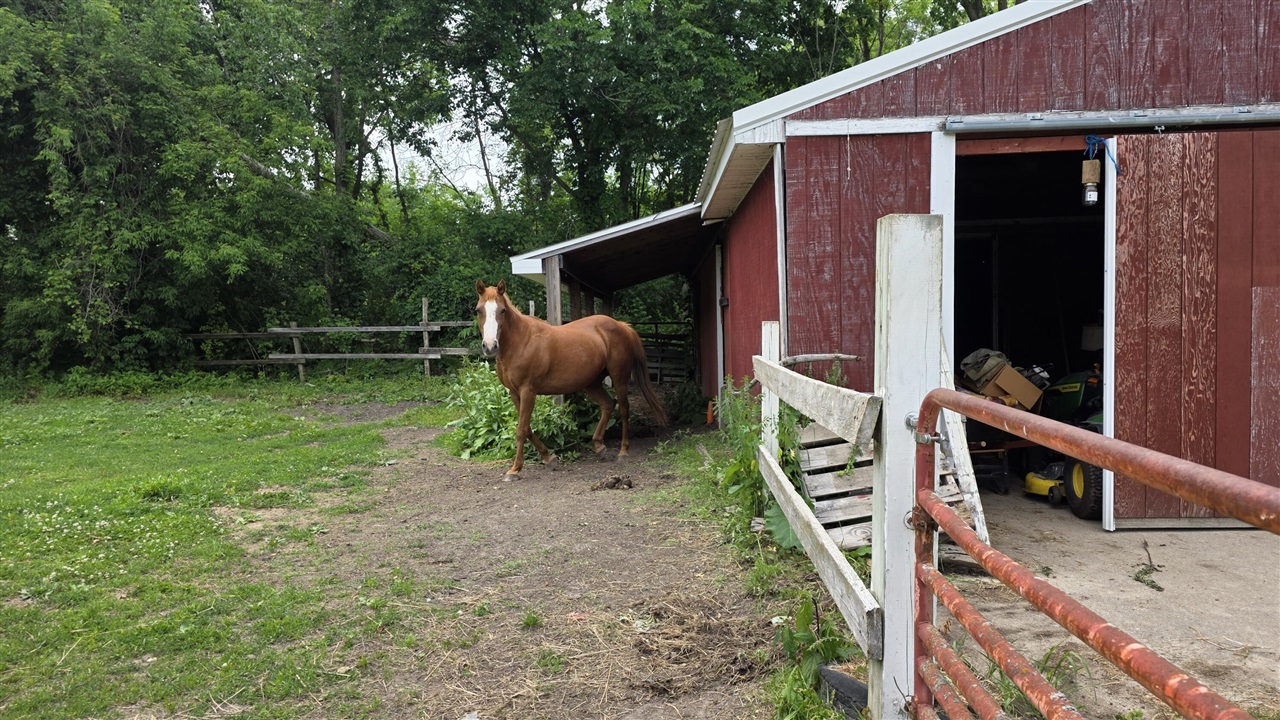 17281 Ely Road Manchester, MI 48158 - Photo 3 of 90