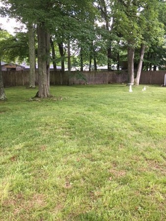 6 Rindone Street Holbrook, MA 02343 - Photo 18 of 18 a view of a backyard with large trees