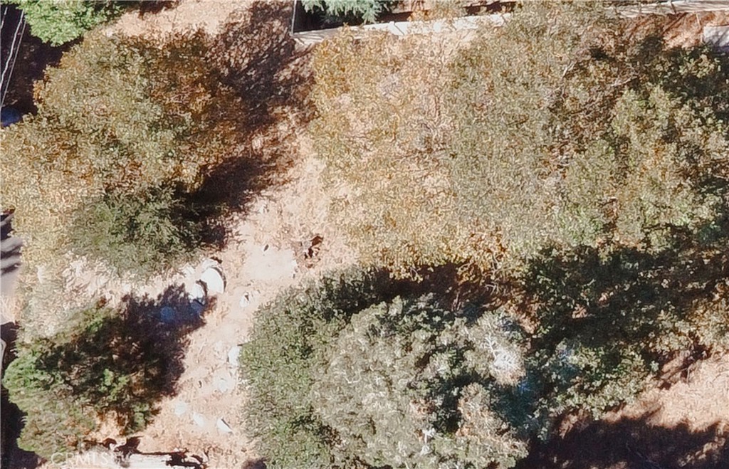 21972 Tower Heights Road Crestline, CA 92322 - Photo 3 of 5 a view of a yard with a tree