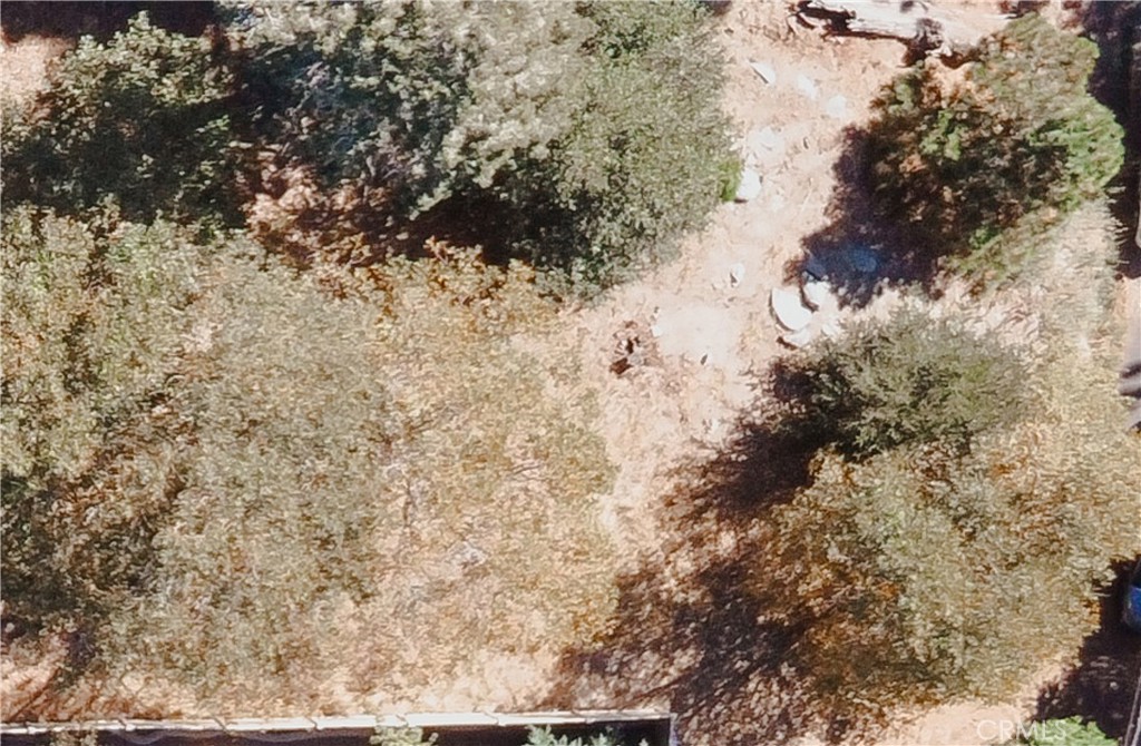 21972 Tower Heights Road Crestline, CA 92322 - Photo 5 of 5 a view of a dry yard with lots of bushes