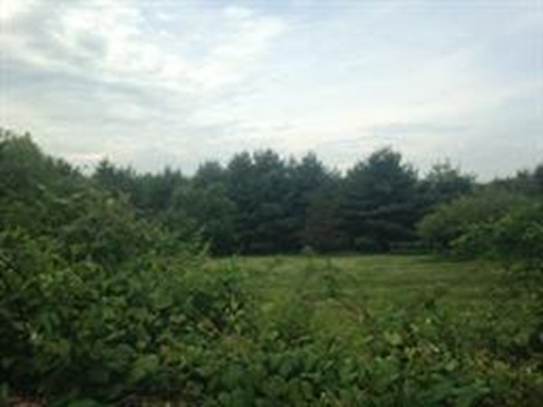 Lot 3 Amherst Road Leverett, MA 01054 - Photo 1 of 1