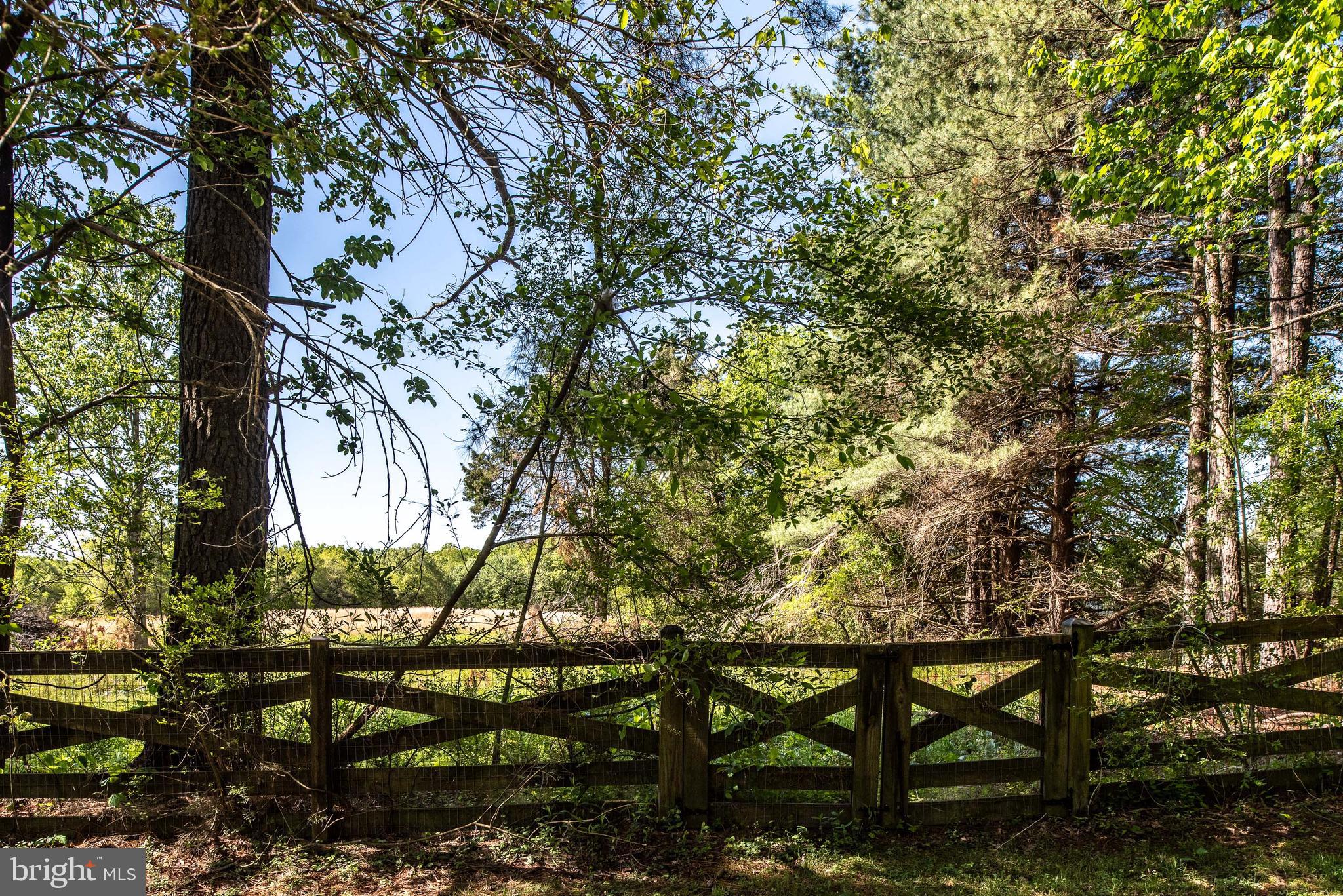 7425 Courthouse Road Spotsylvania, VA 22551 - Photo 41 of 44 Gallery Image 41