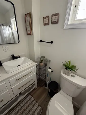 a bathroom with a sink toilet and vanity
