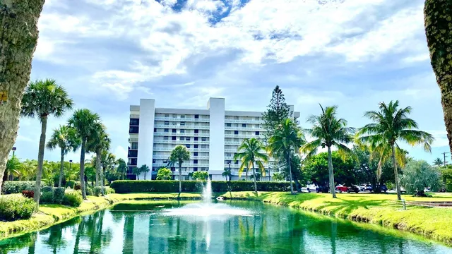 a view of a swimming pool with a garden and plants