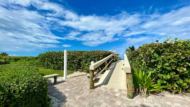 a view of a backyard with plants and a large tree