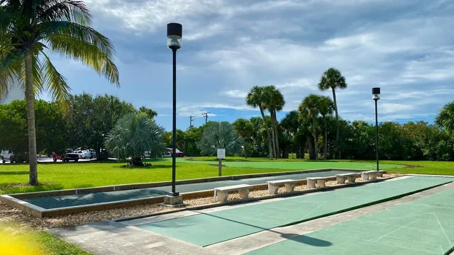 a view of a park with palm trees