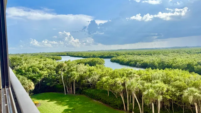 a view of a garden from a balcony