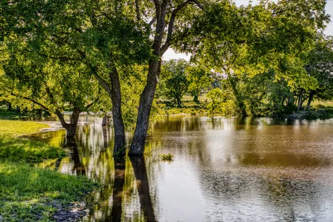a view of swimming pool with yard