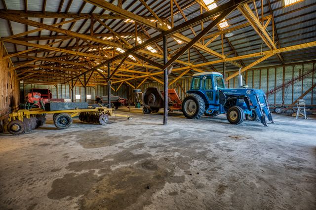 a view of a backyard with a tree